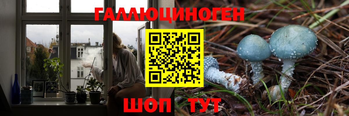 Псилоцибиновые грибы GOLDEN TEACHER  Вход с VPN  Ачхой-Мартан 